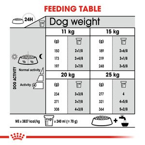 dry adult dog food feeding table